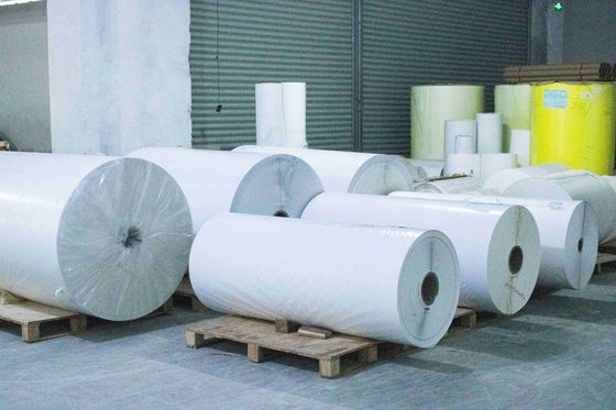 نوع چسب قابل جابجایی خود چسب آویز لاینر رول کاغذ شفاف PET گواهینامه SGS